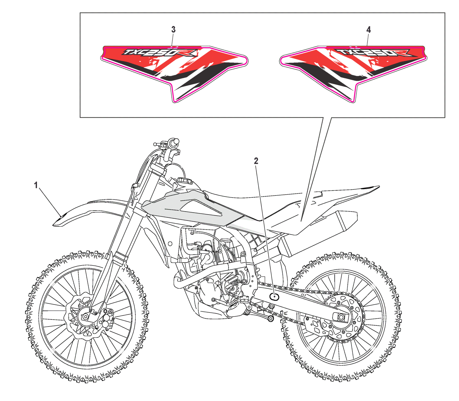 TRANSFERS (TXC 250)