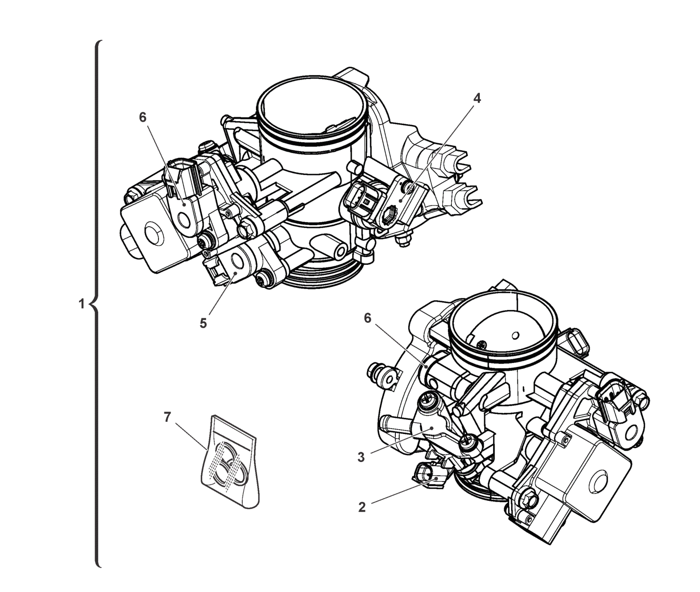 THROTTLE BODY