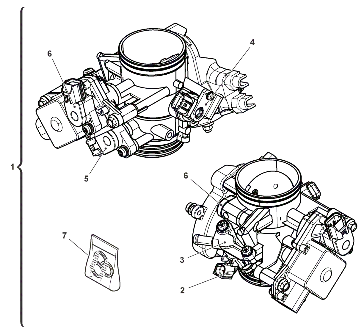 THROTTLE BODY