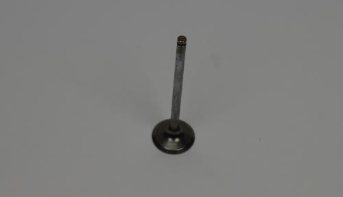 Exaust valve (TE 250-310)